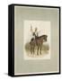 17th Lancers, a Trooper in Review Order-Charles Green-Framed Stretched Canvas