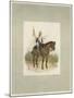 17th Lancers, a Trooper in Review Order-Charles Green-Mounted Giclee Print