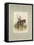17th Lancers, a Trooper in Review Order-Charles Green-Framed Stretched Canvas