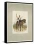 17th Lancers, a Trooper in Review Order-Charles Green-Framed Stretched Canvas