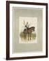 17th Lancers, a Trooper in Review Order-Charles Green-Framed Giclee Print