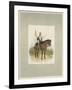 17th Lancers, a Trooper in Review Order-Charles Green-Framed Giclee Print