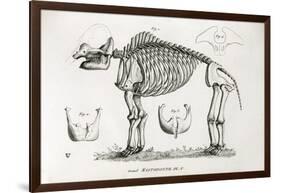 1812 American Mastodon Jefferson Mammoth-Stewart Stewart-Framed Photographic Print