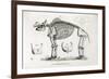 1812 American Mastodon Jefferson Mammoth-Stewart Stewart-Framed Photographic Print