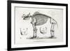 1812 American Mastodon Jefferson Mammoth-Stewart Stewart-Framed Photographic Print