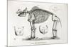 1812 American Mastodon Jefferson Mammoth-Stewart Stewart-Mounted Photographic Print