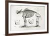1812 American Mastodon Jefferson Mammoth-Stewart Stewart-Framed Photographic Print