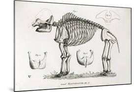 1812 American Mastodon Jefferson Mammoth-Stewart Stewart-Mounted Photographic Print