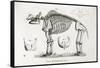 1812 American Mastodon Jefferson Mammoth-Stewart Stewart-Framed Stretched Canvas