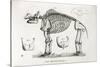 1812 American Mastodon Jefferson Mammoth-Stewart Stewart-Stretched Canvas