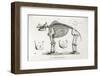 1812 American Mastodon Jefferson Mammoth-Stewart Stewart-Framed Photographic Print