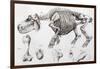 1812 Hippopotamus Skeleton by Cuvier-Stewart Stewart-Framed Photographic Print