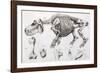1812 Hippopotamus Skeleton by Cuvier-Stewart Stewart-Framed Photographic Print