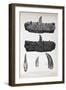 1824 Buckland's Megalosaurus Jaw Teeth-Paul Stewart-Framed Premium Photographic Print