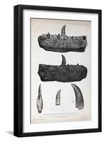 1824 Buckland's Megalosaurus Jaw Teeth-Paul Stewart-Framed Premium Photographic Print