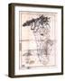 1825, Greenville District surveyed 1820, South Carolina, United States-null-Framed Giclee Print