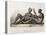 1827 Nukahiva Marquesas Tattooed Couple-Stewart Stewart-Stretched Canvas