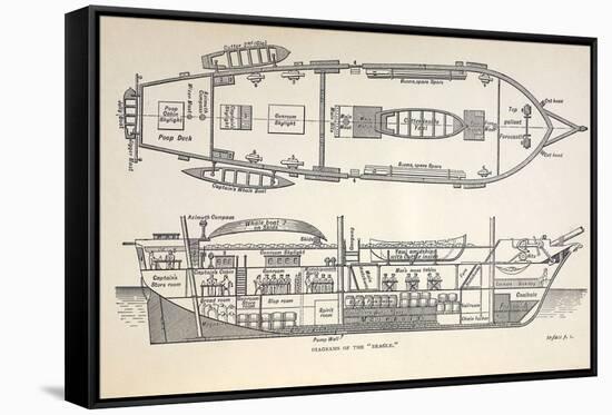 1832 Darwin's Ship HMS Beagle Plan-Paul Stewart-Framed Stretched Canvas