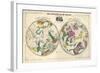 1835, Circumpolar Map Composite, Constellations-null-Framed Giclee Print