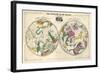 1835, Circumpolar Map Composite, Constellations-null-Framed Giclee Print