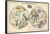 1835, Circumpolar Map Composite, Constellations-null-Framed Stretched Canvas