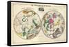 1835, Circumpolar Map Composite, Constellations-null-Framed Stretched Canvas