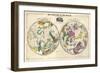 1835, Circumpolar Map Composite, Constellations-null-Framed Giclee Print