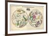 1835, Circumpolar Map Composite, Constellations-null-Framed Premium Giclee Print