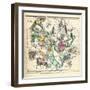 1835, Constellations July - September-null-Framed Giclee Print