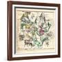 1835, Constellations July - September-null-Framed Giclee Print