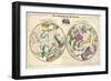 1835, Geography of the Heavens, Northern - Southern-null-Framed Giclee Print