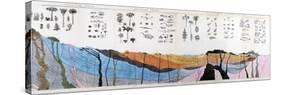 1836 Buckland Geology Cross-section-Paul Stewart-Stretched Canvas