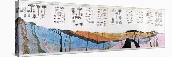 1836 Buckland Geology Cross-section-Paul Stewart-Stretched Canvas