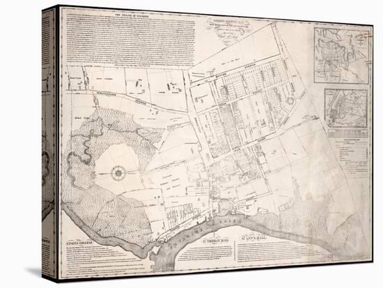 1841, Flushing Wall Map, New York, United States-null-Stretched Canvas