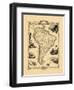 1848, South America-null-Framed Premium Giclee Print