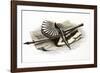 1851 Simple Tools of Victorian Geology-Paul Stewart-Framed Photographic Print