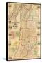 1853, Washington County 1853 Wall Map, New York, United States-null-Framed Stretched Canvas