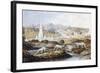 1854 Crystal Palace Dinosaurs by Baxter 1-Paul Stewart-Framed Premium Photographic Print