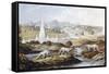 1854 Crystal Palace Dinosaurs by Baxter 1-Paul Stewart-Framed Stretched Canvas