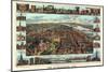 1855, Harrisburg Bird's Eye View, Pennsylvania, United States-null-Mounted Giclee Print