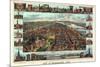 1855, Harrisburg Bird's Eye View, Pennsylvania, United States-null-Mounted Giclee Print