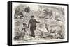 1855 Punch Dinosaurs Crystal Palace-Paul Stewart-Framed Stretched Canvas