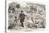 1855 Punch Dinosaurs Crystal Palace-Paul Stewart-Stretched Canvas