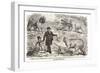 1855 Punch Dinosaurs Crystal Palace-Paul Stewart-Framed Photographic Print