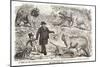 1855 Punch Dinosaurs Crystal Palace-Paul Stewart-Mounted Photographic Print