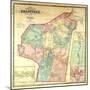 1856, Braintree Wall Map, Massachusetts, United States-null-Mounted Giclee Print