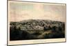 1857, Staunton Bird's Eye View, Virginia, United States-null-Mounted Giclee Print