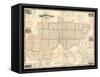 1858, Washington County and Marietta Wall Map, Ohio, United States-null-Framed Stretched Canvas