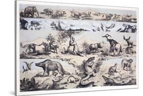 1860 Duncan's Prehistoric Epoch Panorama-Paul Stewart-Stretched Canvas