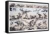 1860 Duncan's Prehistoric Epoch Panorama-Paul Stewart-Framed Stretched Canvas